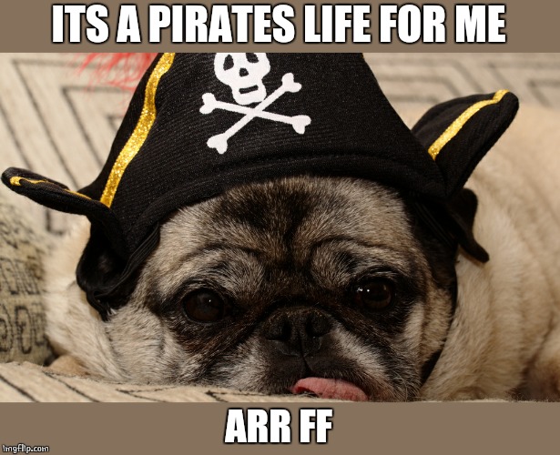 PIRATE DOG | ITS A PIRATES LIFE FOR ME; ARR FF | image tagged in pirate,doge,dogs | made w/ Imgflip meme maker