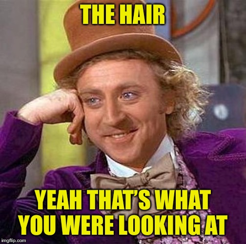 Creepy Condescending Wonka Meme | THE HAIR YEAH THAT’S WHAT YOU WERE LOOKING AT | image tagged in memes,creepy condescending wonka | made w/ Imgflip meme maker
