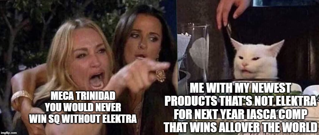 woman yelling at cat | ME WITH MY NEWEST PRODUCTS THAT'S NOT ELEKTRA FOR NEXT YEAR IASCA COMP THAT WINS ALLOVER THE WORLD; MECA TRINIDAD
YOU WOULD NEVER WIN SQ WITHOUT ELEKTRA | image tagged in woman yelling at cat | made w/ Imgflip meme maker