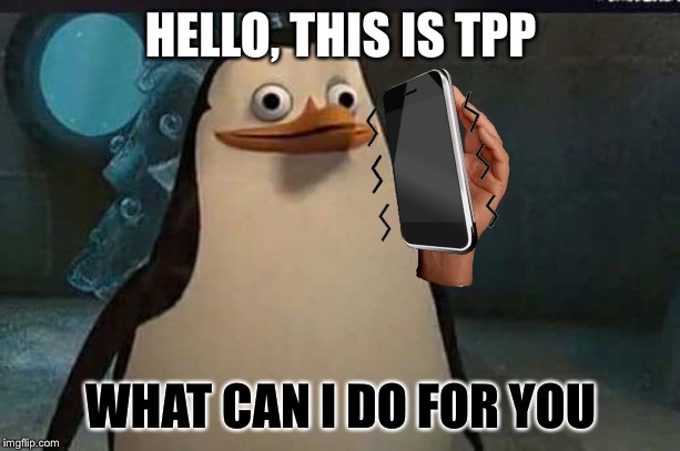 Madagascar penguin | HELLO, THIS IS TPP WHAT CAN I DO FOR YOU | image tagged in madagascar penguin | made w/ Imgflip meme maker