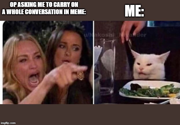 Cat at table | ME:; OP ASKING ME TO CARRY ON A WHOLE CONVERSATION IN MEME: | image tagged in cat at table | made w/ Imgflip meme maker