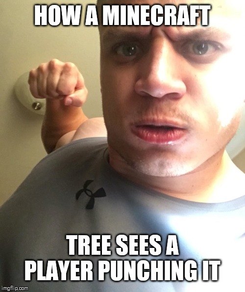 How a tree sees a minecraft player | HOW A MINECRAFT; TREE SEES A PLAYER PUNCHING IT | image tagged in tyler1,minecraft | made w/ Imgflip meme maker