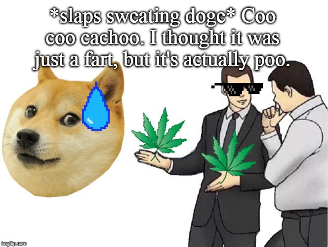 *slaps sweating doge* Coo coo cachoo. I thought it was just a fart, but it's actually poo. | image tagged in random,wtf,marijuana,doge,car salesman slaps roof of car,car salesman slaps hood | made w/ Imgflip meme maker