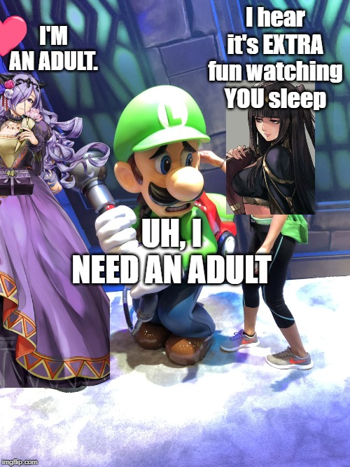 I'M AN ADULT. I hear it's EXTRA fun watching YOU sleep; UH, I NEED AN ADULT | image tagged in luigi | made w/ Imgflip meme maker
