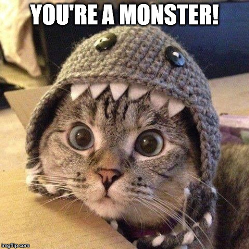Cat shark | YOU'RE A MONSTER! | image tagged in cat shark | made w/ Imgflip meme maker