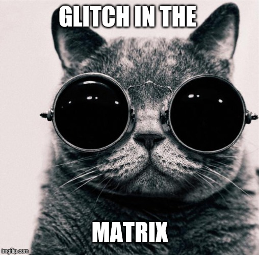Matrix Cat | GLITCH IN THE; MATRIX | image tagged in matrix cat | made w/ Imgflip meme maker