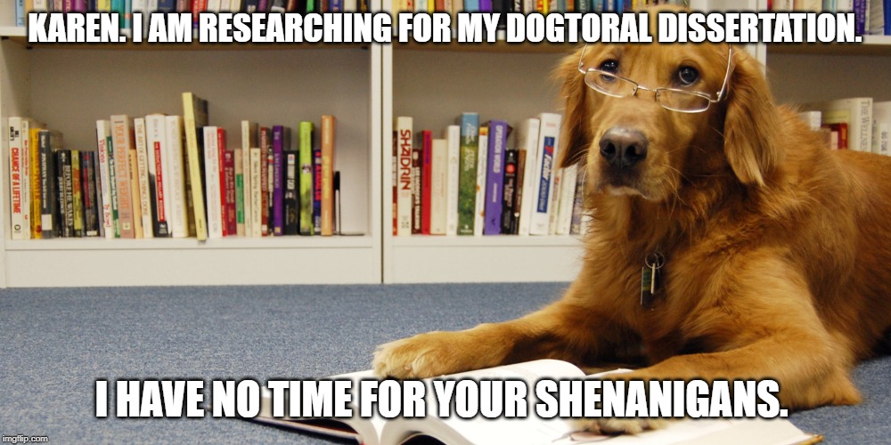 dog reading | KAREN. I AM RESEARCHING FOR MY DOGTORAL DISSERTATION. I HAVE NO TIME FOR YOUR SHENANIGANS. | image tagged in dog reading,doggo,doctor,reading,books,memes | made w/ Imgflip meme maker