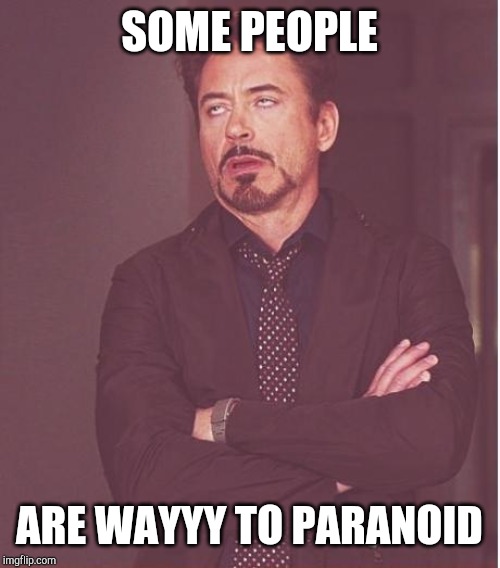 Face You Make Robert Downey Jr Meme | SOME PEOPLE ARE WAYYY TO PARANOID | image tagged in memes,face you make robert downey jr | made w/ Imgflip meme maker