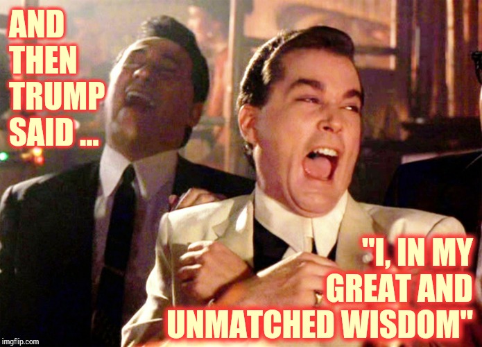 He Is The Butt Of All Their Jokes | AND THEN TRUMP SAID ... "I, IN MY GREAT AND UNMATCHED WISDOM" | image tagged in memes,good fellas hilarious,trump unfit unqualified dangerous,liar in chief,crazy man,lock him up | made w/ Imgflip meme maker