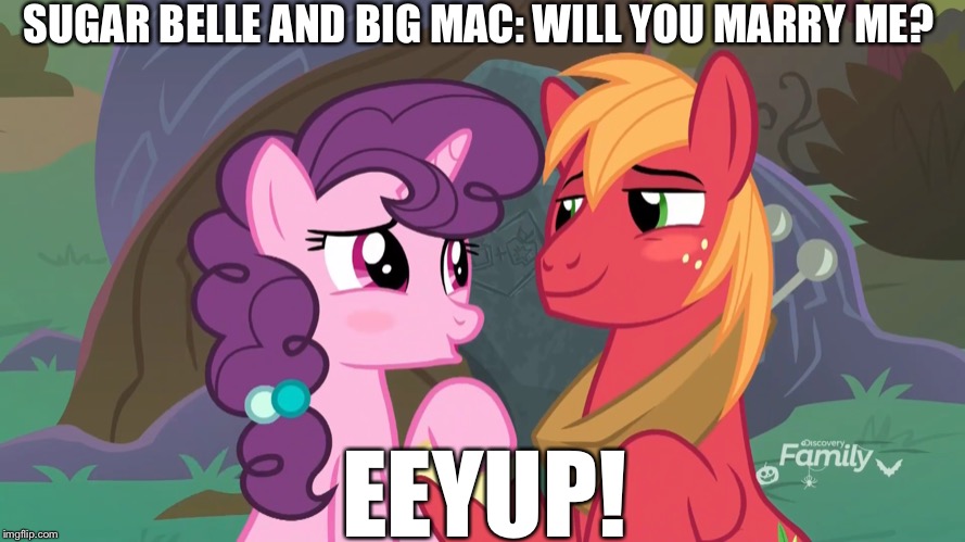MLP FIM Big Mac and Sugar Belle wants to marry together! | SUGAR BELLE AND BIG MAC: WILL YOU MARRY ME? EEYUP! | image tagged in sugar,big mac,mlp fim,marry | made w/ Imgflip meme maker