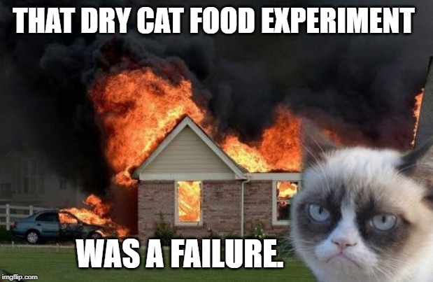 Burn Kitty Meme | THAT DRY CAT FOOD EXPERIMENT; WAS A FAILURE. | image tagged in memes,burn kitty,grumpy cat | made w/ Imgflip meme maker