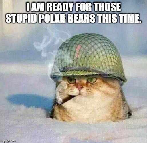 War Cat |  I AM READY FOR THOSE STUPID POLAR BEARS THIS TIME. | image tagged in war cat | made w/ Imgflip meme maker