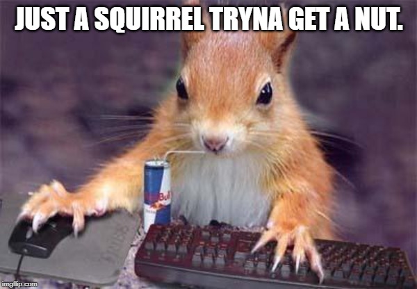 gamer chipmunk | JUST A SQUIRREL TRYNA GET A NUT. | image tagged in gamer chipmunk | made w/ Imgflip meme maker