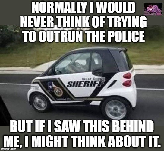It's hard to get respect when you're cute. | NORMALLY I WOULD NEVER THINK OF TRYING TO OUTRUN THE POLICE; BUT IF I SAW THIS BEHIND ME, I MIGHT THINK ABOUT IT. | image tagged in smart car | made w/ Imgflip meme maker