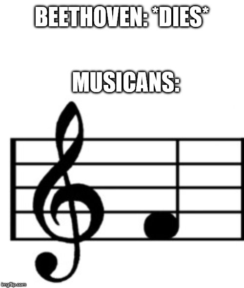 Some will get it | BEETHOVEN: *DIES*; MUSICANS: | image tagged in beethoven,music | made w/ Imgflip meme maker