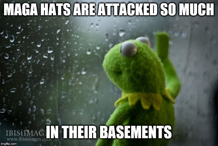 kermit window | MAGA HATS ARE ATTACKED SO MUCH IN THEIR BASEMENTS | image tagged in kermit window | made w/ Imgflip meme maker