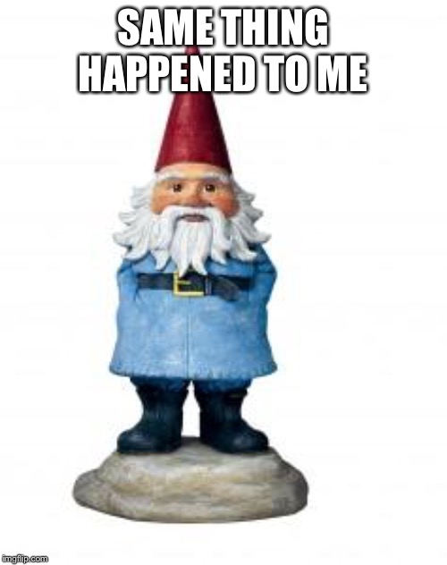 gnome | SAME THING HAPPENED TO ME | image tagged in gnome | made w/ Imgflip meme maker