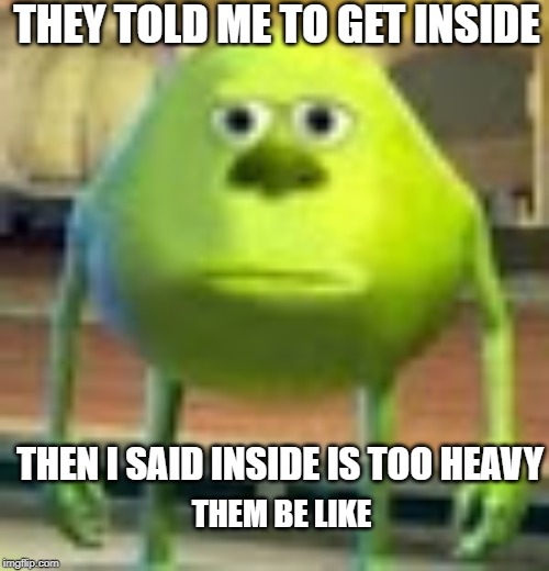 Sully Wazowski | THEY TOLD ME TO GET INSIDE; THEN I SAID INSIDE IS TOO HEAVY; THEM BE LIKE | image tagged in sully wazowski | made w/ Imgflip meme maker