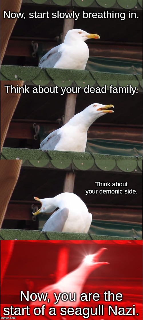 What possesion looks like | Now, start slowly breathing in. Think about your dead family. Think about your demonic side. Now, you are the start of a seagull Nazi. | image tagged in memes,inhaling seagull | made w/ Imgflip meme maker