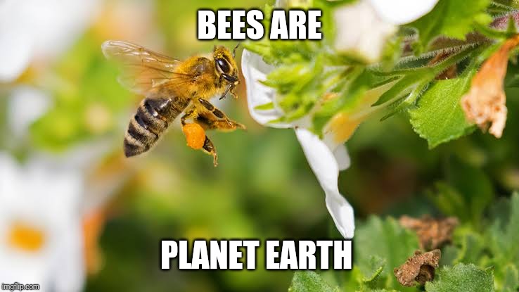 BEES ARE; PLANET EARTH | image tagged in environmental | made w/ Imgflip meme maker