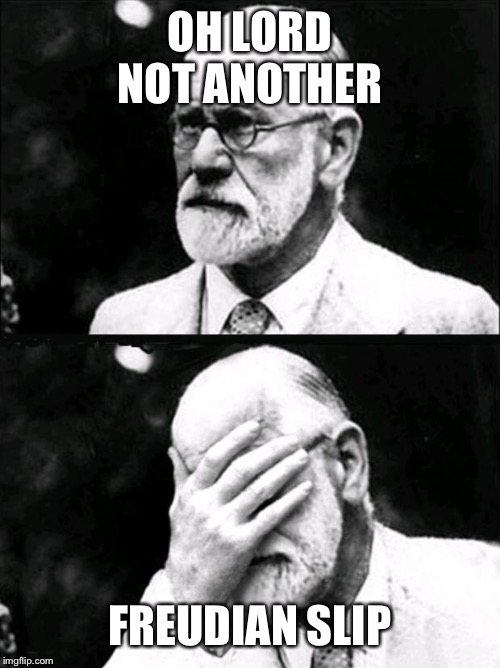 Freud | OH LORD
NOT ANOTHER FREUDIAN SLIP | image tagged in freud | made w/ Imgflip meme maker