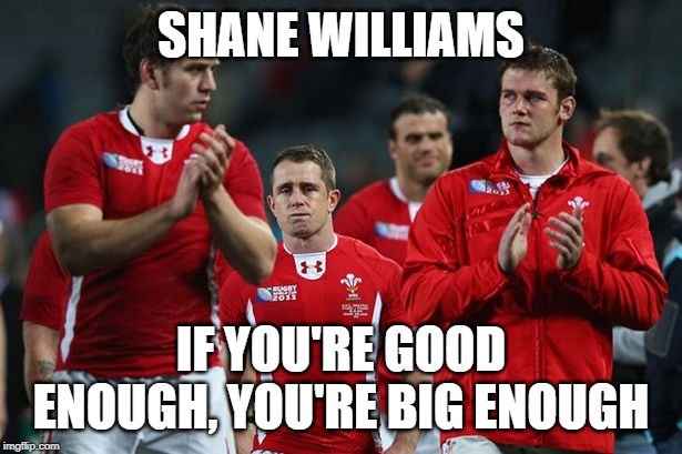 Shane Williams | SHANE WILLIAMS; IF YOU'RE GOOD ENOUGH, YOU'RE BIG ENOUGH | image tagged in good,small,great | made w/ Imgflip meme maker
