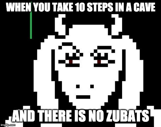 Undertale - Toriel | WHEN YOU TAKE 10 STEPS IN A CAVE; AND THERE IS NO ZUBATS | image tagged in undertale - toriel | made w/ Imgflip meme maker