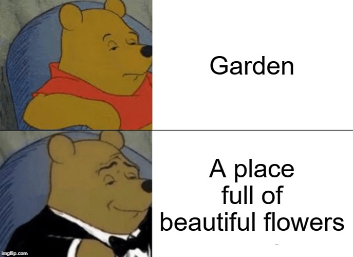 Tuxedo Winnie The Pooh | Garden; A place full of beautiful flowers | image tagged in memes,tuxedo winnie the pooh | made w/ Imgflip meme maker