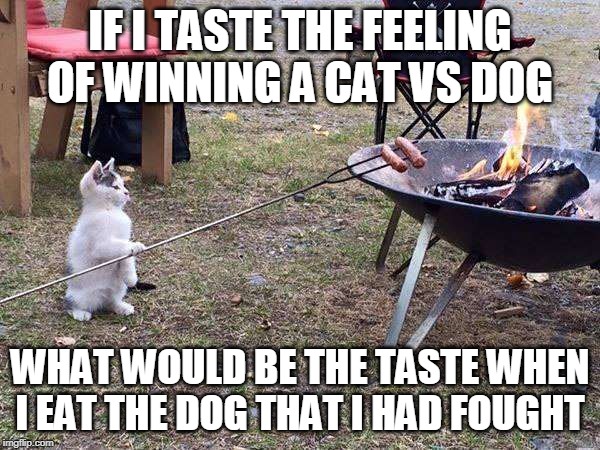 cat grilling | IF I TASTE THE FEELING OF WINNING A CAT VS DOG; WHAT WOULD BE THE TASTE WHEN I EAT THE DOG THAT I HAD FOUGHT | image tagged in memes,cute cat | made w/ Imgflip meme maker