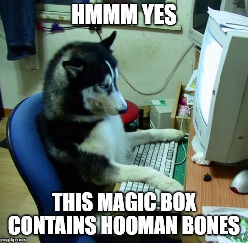 I Have No Idea What I Am Doing Meme | HMMM YES; THIS MAGIC BOX CONTAINS HOOMAN BONES | image tagged in memes,i have no idea what i am doing | made w/ Imgflip meme maker
