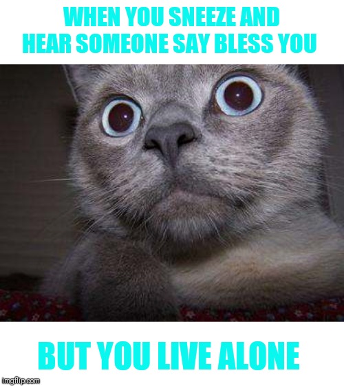 Freaky eye cat | WHEN YOU SNEEZE AND HEAR SOMEONE SAY BLESS YOU BUT YOU LIVE ALONE | image tagged in freaky eye cat | made w/ Imgflip meme maker