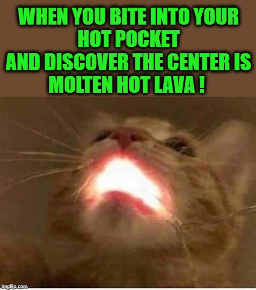 Hot Pocket ! | WHEN YOU BITE INTO YOUR
HOT POCKET
AND DISCOVER THE CENTER IS
MOLTEN HOT LAVA ! | image tagged in hot pockets,cat,lava,funny,meme | made w/ Imgflip meme maker