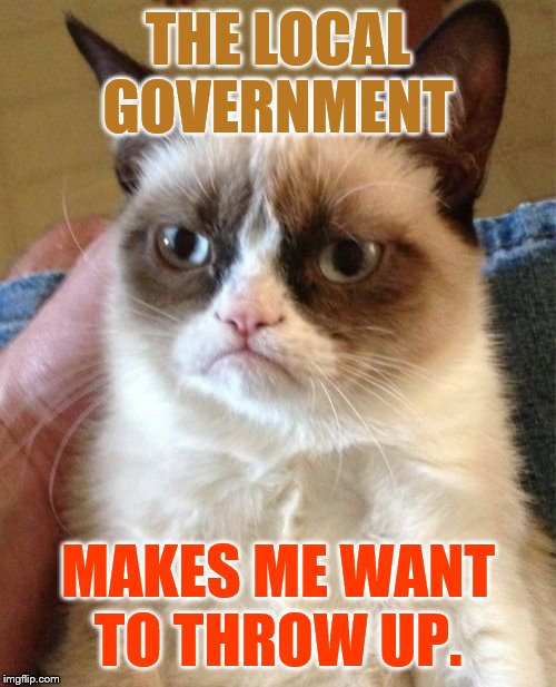 Grumpy Cat | THE LOCAL GOVERNMENT; MAKES ME WANT TO THROW UP. | image tagged in memes,grumpy cat,politics,local government,throw,up | made w/ Imgflip meme maker