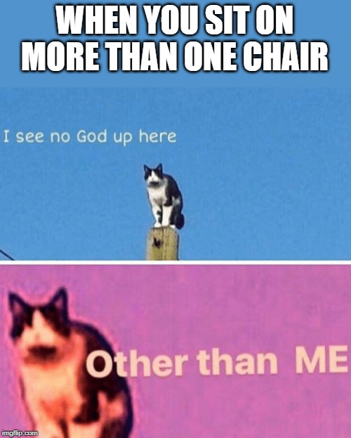 Hail pole cat | WHEN YOU SIT ON MORE THAN ONE CHAIR | image tagged in hail pole cat | made w/ Imgflip meme maker