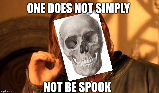 One Does Not Simply | ONE DOES NOT SIMPLY; NOT BE SPOOK | image tagged in memes,one does not simply | made w/ Imgflip meme maker