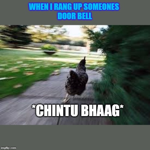 running chick | WHEN I RANG UP SOMEONES 
DOOR BELL; *CHINTU BHAAG* | image tagged in running | made w/ Imgflip meme maker