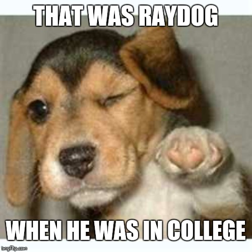 Fist bump puppy  | THAT WAS RAYDOG WHEN HE WAS IN COLLEGE | image tagged in fist bump puppy | made w/ Imgflip meme maker