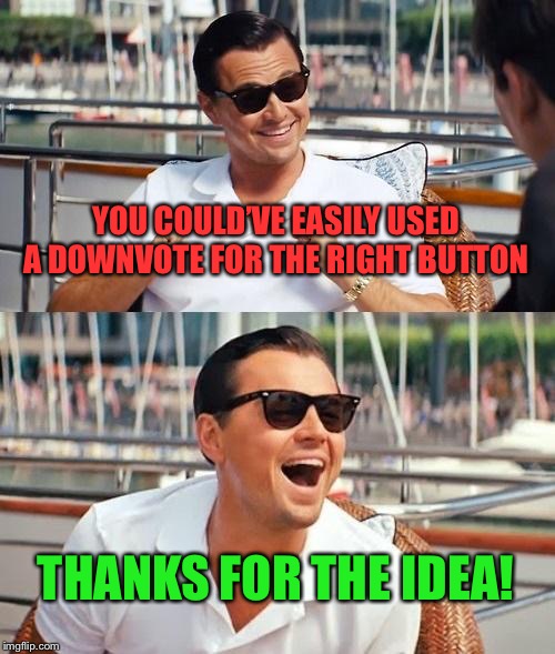 Leonardo Dicaprio Wolf Of Wall Street Meme | YOU COULD’VE EASILY USED A DOWNVOTE FOR THE RIGHT BUTTON THANKS FOR THE IDEA! | image tagged in memes,leonardo dicaprio wolf of wall street | made w/ Imgflip meme maker