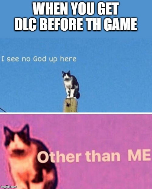 Hail pole cat | WHEN YOU GET DLC BEFORE TH GAME | image tagged in hail pole cat | made w/ Imgflip meme maker