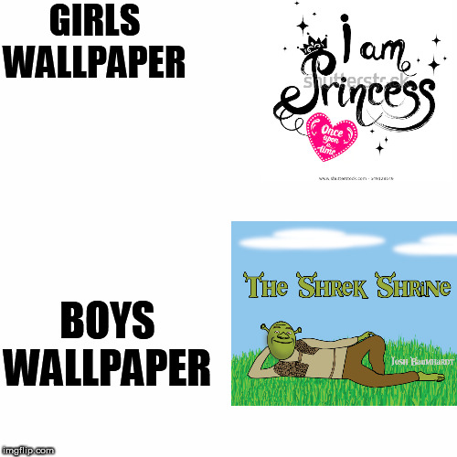 GIRLS WALLPAPER; BOYS WALLPAPER | image tagged in memes | made w/ Imgflip meme maker