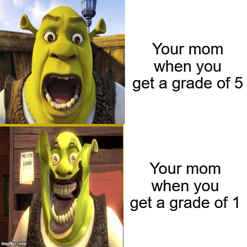 Drake Hotline Bling Meme | Your mom when you get a grade of 5; Your mom when you get a grade of 1 | image tagged in memes,drake hotline bling | made w/ Imgflip meme maker