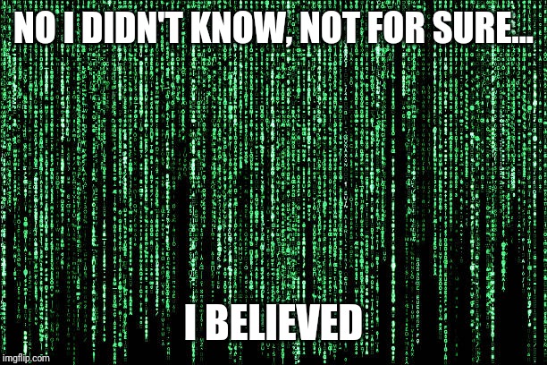 NO I DIDN'T KNOW, NOT FOR SURE... I BELIEVED | image tagged in belief | made w/ Imgflip meme maker