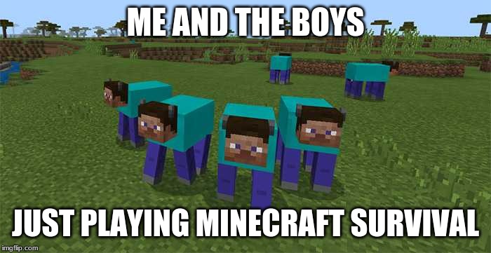 me and the boys | ME AND THE BOYS; JUST PLAYING MINECRAFT SURVIVAL | image tagged in me and the boys | made w/ Imgflip meme maker