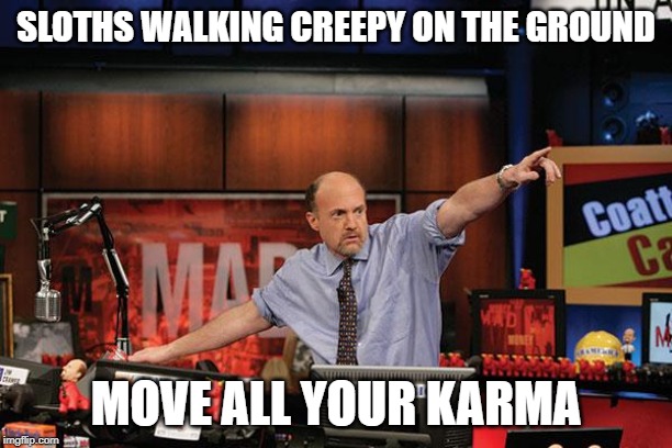 Mad Money Jim Cramer Meme | SLOTHS WALKING CREEPY ON THE GROUND; MOVE ALL YOUR KARMA | image tagged in memes,mad money jim cramer | made w/ Imgflip meme maker