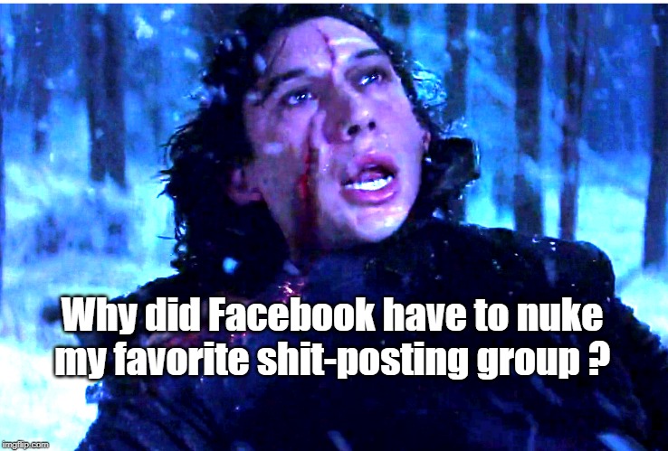 Why Facebook? | Why did Facebook have to nuke my favorite shit-posting group ? | image tagged in facebook,shit-posting | made w/ Imgflip meme maker