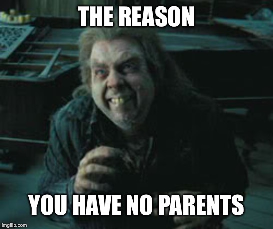 THE REASON; YOU HAVE NO PARENTS | image tagged in harry potter | made w/ Imgflip meme maker