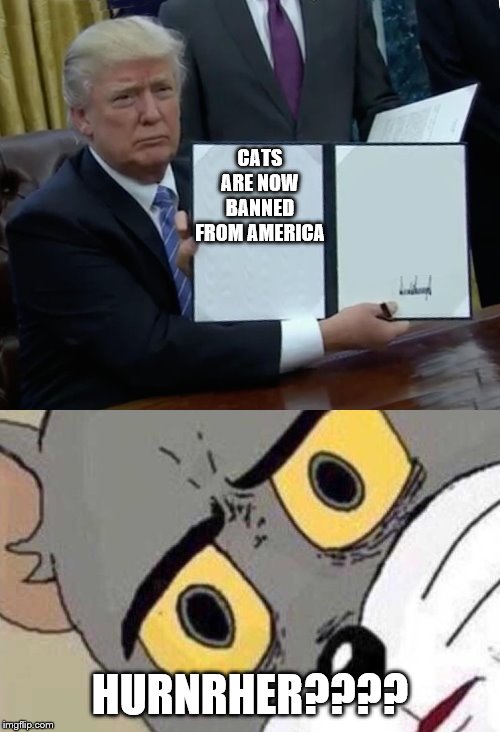 CATS ARE NOW BANNED FROM AMERICA; HURNRHER???? | image tagged in memes,trump bill signing | made w/ Imgflip meme maker
