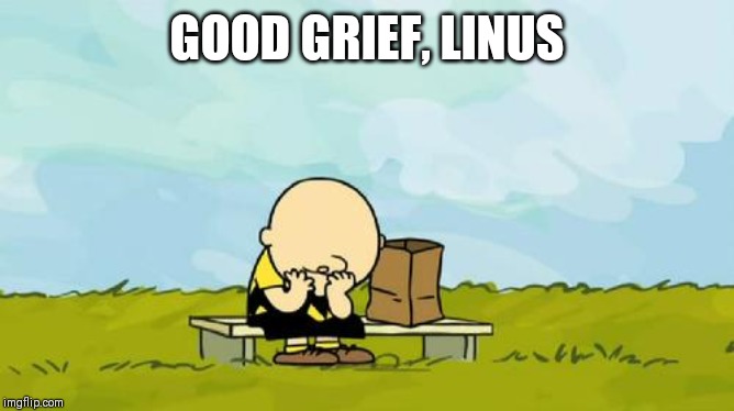 Depressed Charlie Brown | GOOD GRIEF, LINUS | image tagged in depressed charlie brown | made w/ Imgflip meme maker