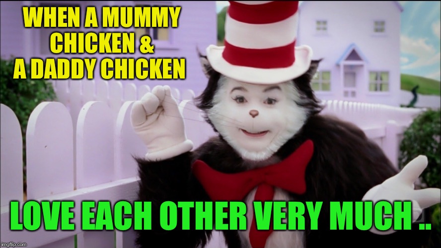 Cat in the hat logic  | WHEN A MUMMY CHICKEN & A DADDY CHICKEN LOVE EACH OTHER VERY MUCH .. | image tagged in cat in the hat logic | made w/ Imgflip meme maker