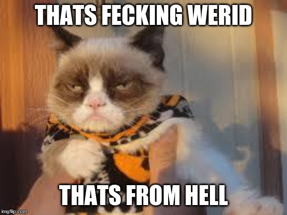 GRUMPY CAT HALLOWEEN | THATS FECKING WERID; THATS FROM HELL | image tagged in memes,grumpy cat halloween,grumpy cat,hell,swearing | made w/ Imgflip meme maker